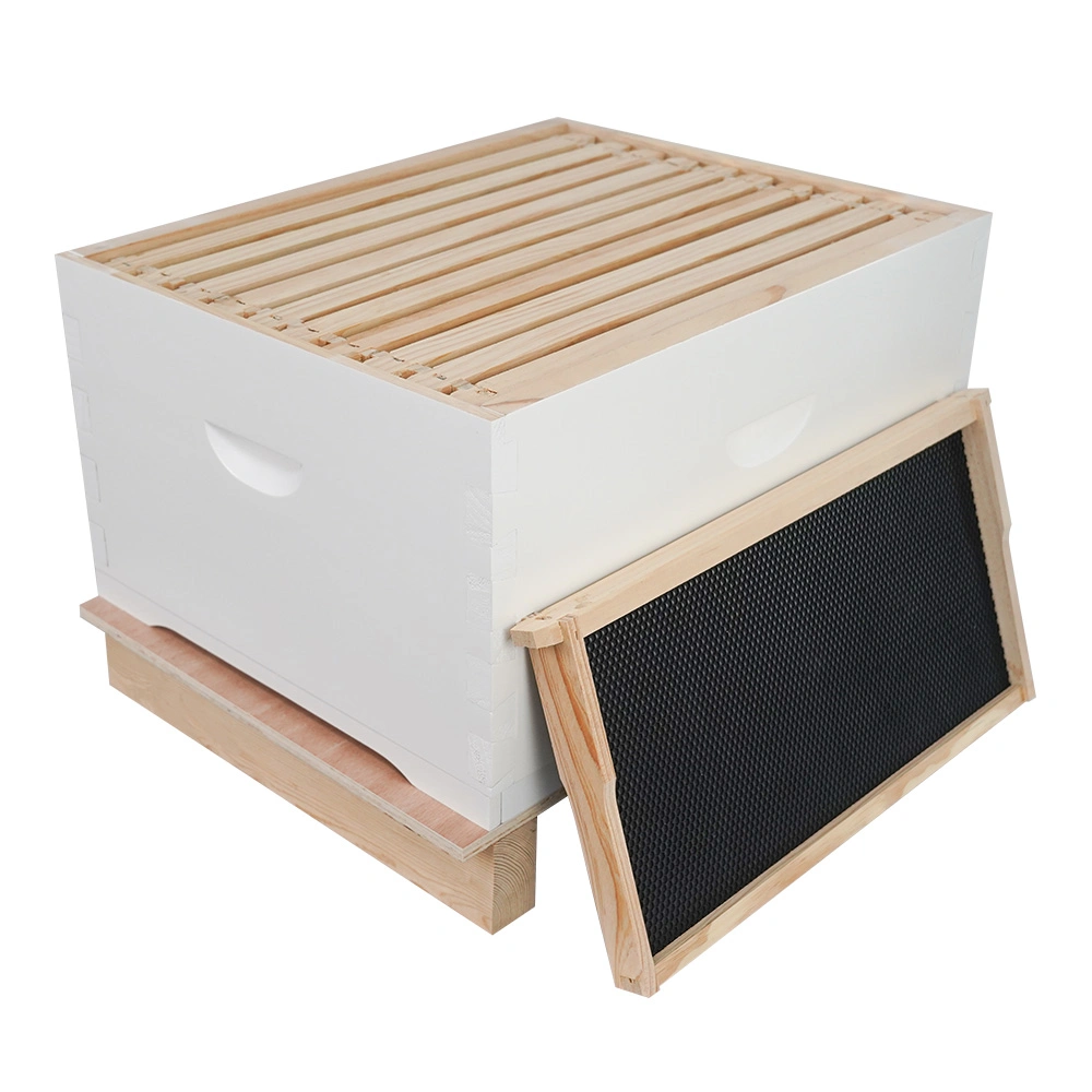 Australian Beehive Pinted White 10 Frames Bee Hive Kit