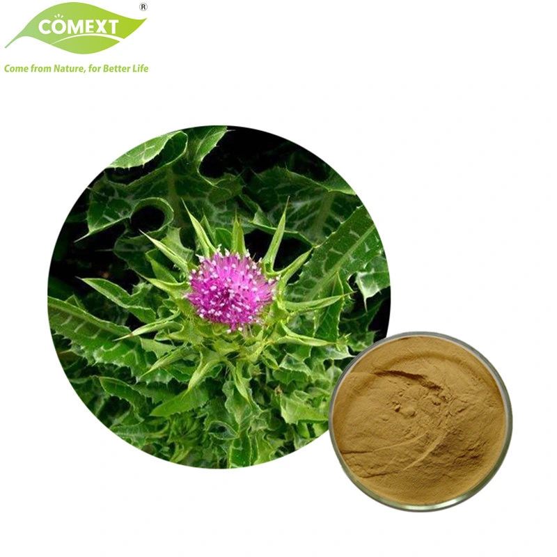 إمداد Comext إمداد الحليب المقتطف من النبات طبيعيا Pure استخراج الحليب Thistle استخراج 80% سيلمارين