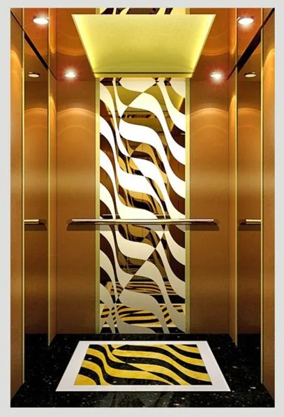 Best Supplier of Lifts Elevator Parts in China with Ce