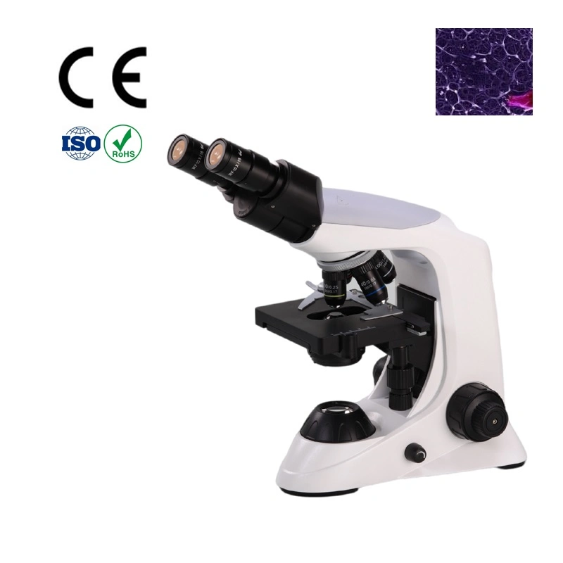 Instrumento de laboratorio Thrinocular Microscopio con condensador Abbe