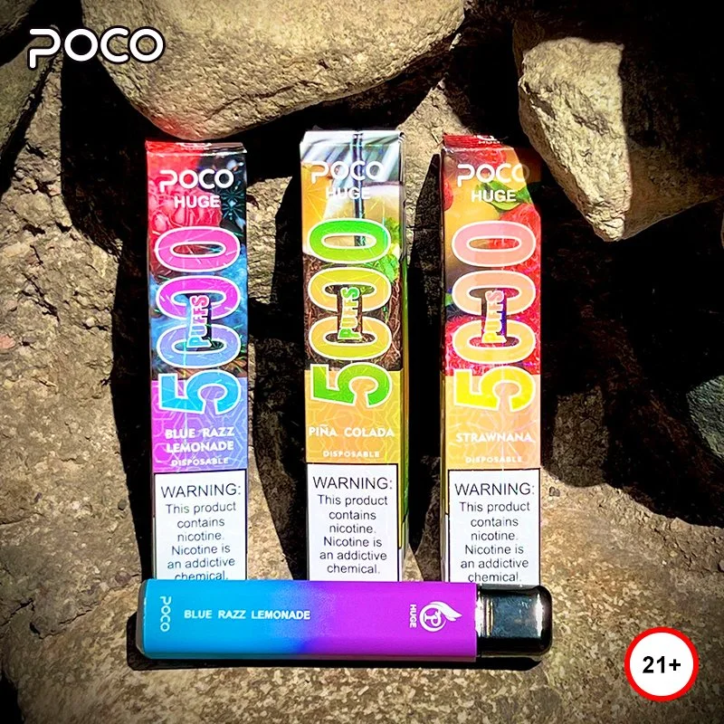 0/2/5% NIC بوكو ضخمة E السجائر القابلة للاستخدام مرة واحدة 5000puffs مش Coil السجائر الإلكترونية بالجملة من النوع C قابلة لإعادة الشحن مع خرطوشة مملوءة مسبقًا سعة 15 مل