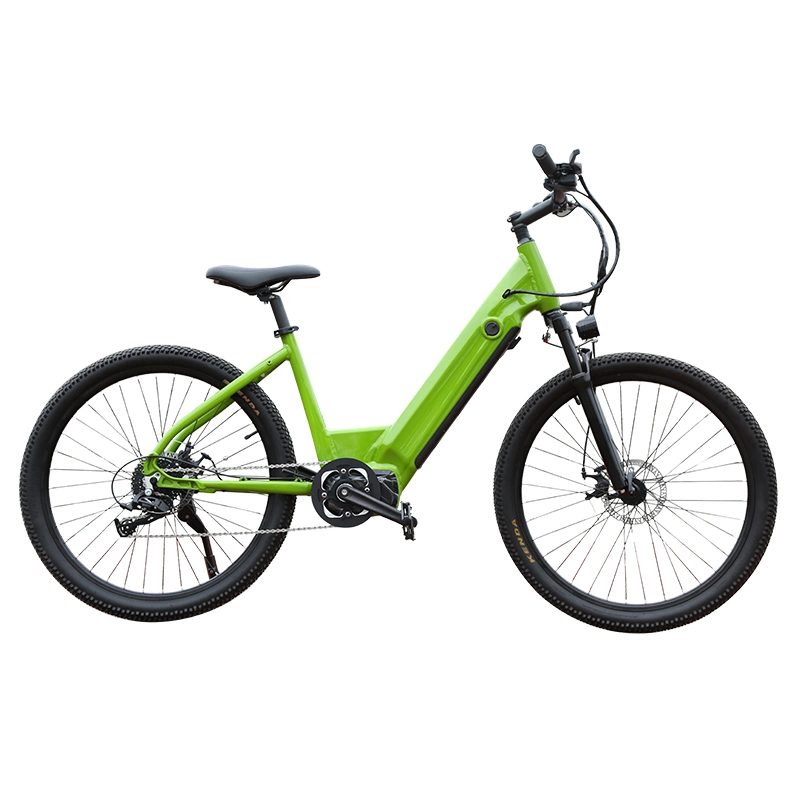 350W 10,4 bicicleta elétrica Mini bicicleta Electronic bicicleta Cheap Electric Bicicletas de terra e-bike