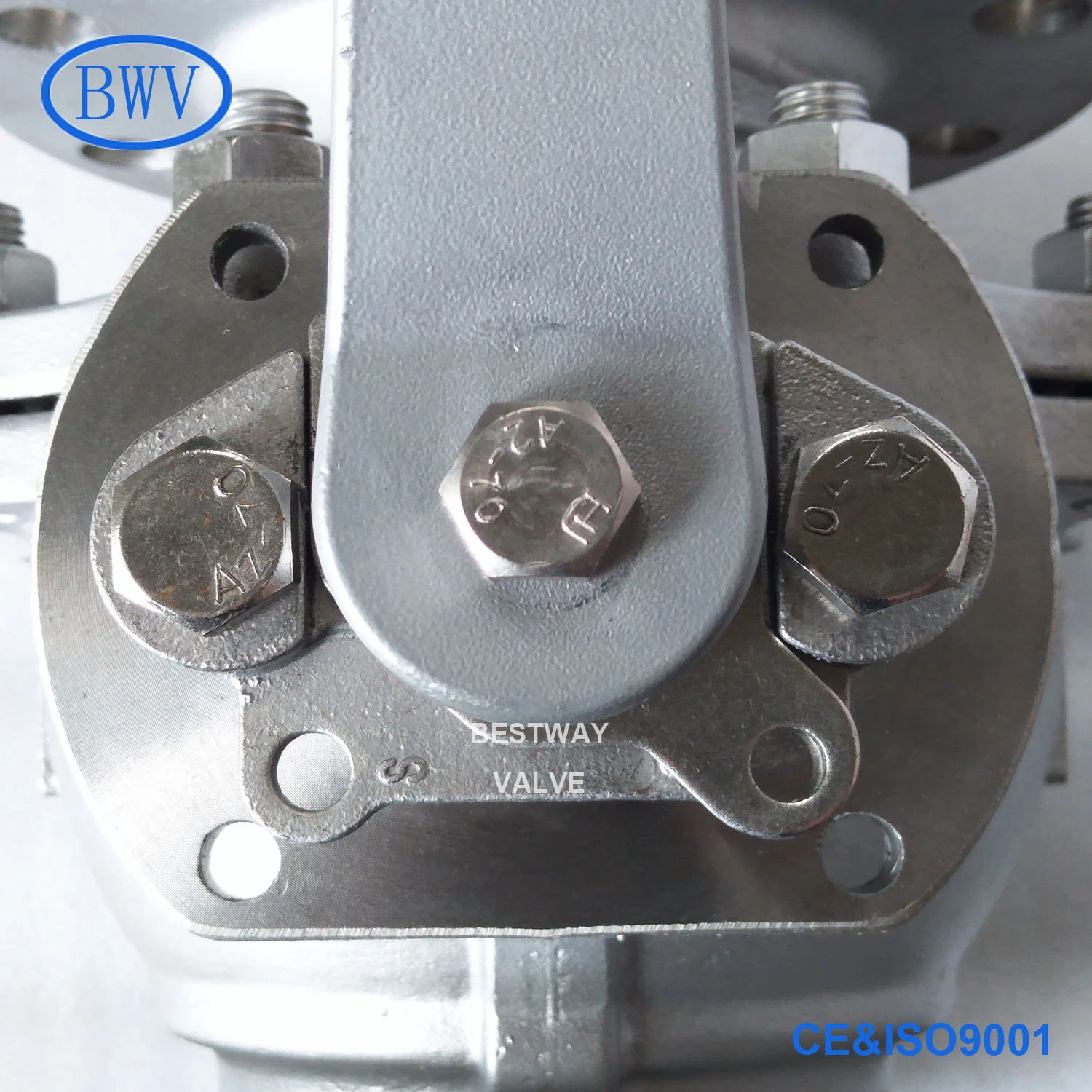 JIS 10K Scs13/304 Scs14/316 Full Port Manual Flanged End Stainless Steel Floating Ball Valves