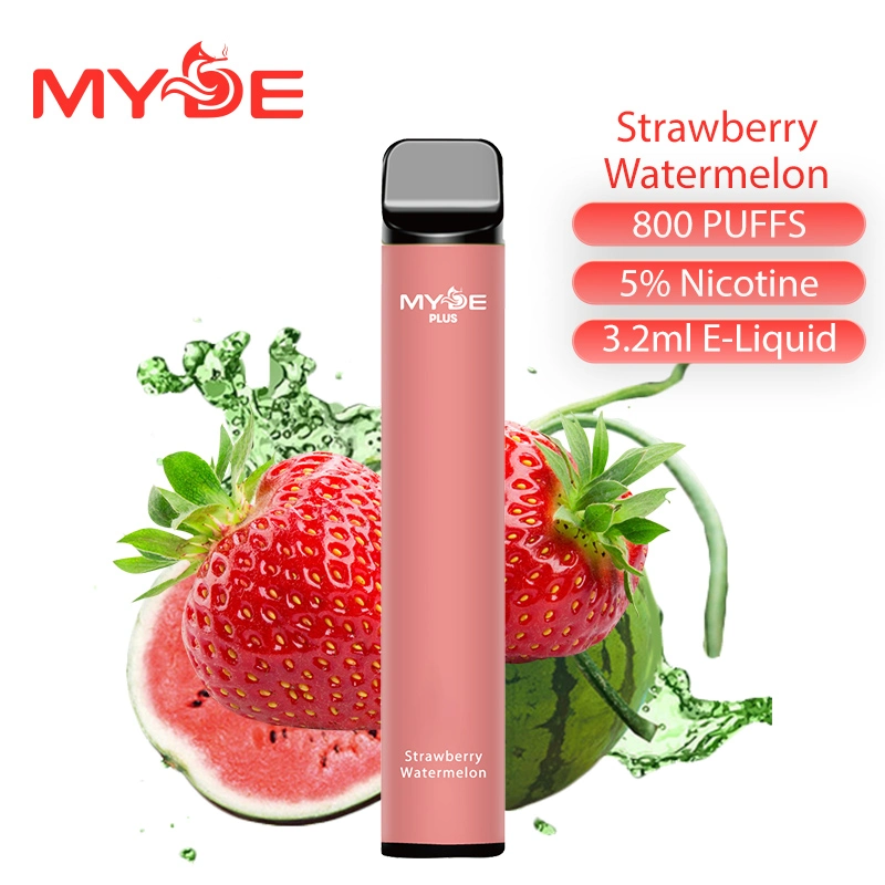 Mini vape Disposable/Chargeable Vape Vapor 800 Puffs Electronic Cigarette