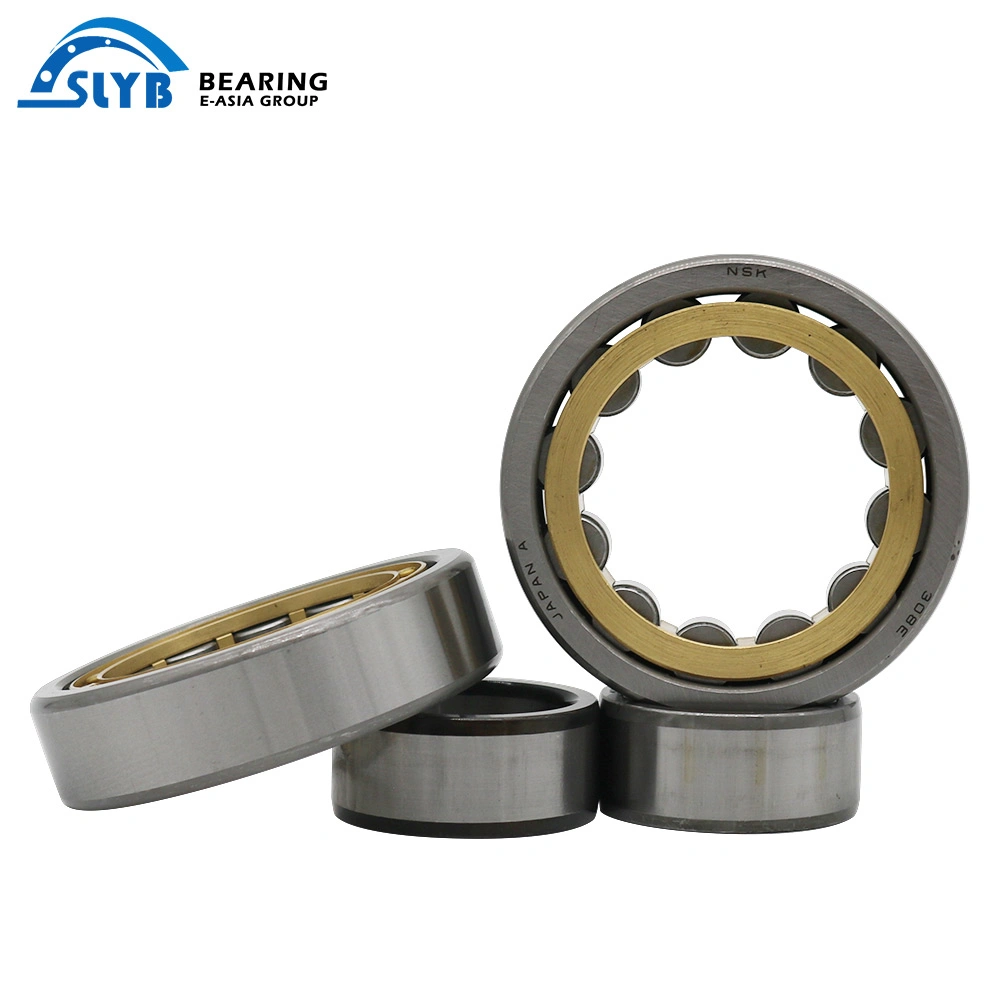 Factory Steel Radial Environmentally Plain NSK NACHI Timken Koyo Ceramic NTN Zwz Bearing