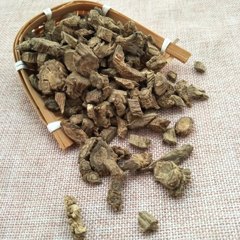 Чуан Сюй Duan заводе питания природным травы медицины Dipsacus asperoides для здоровья