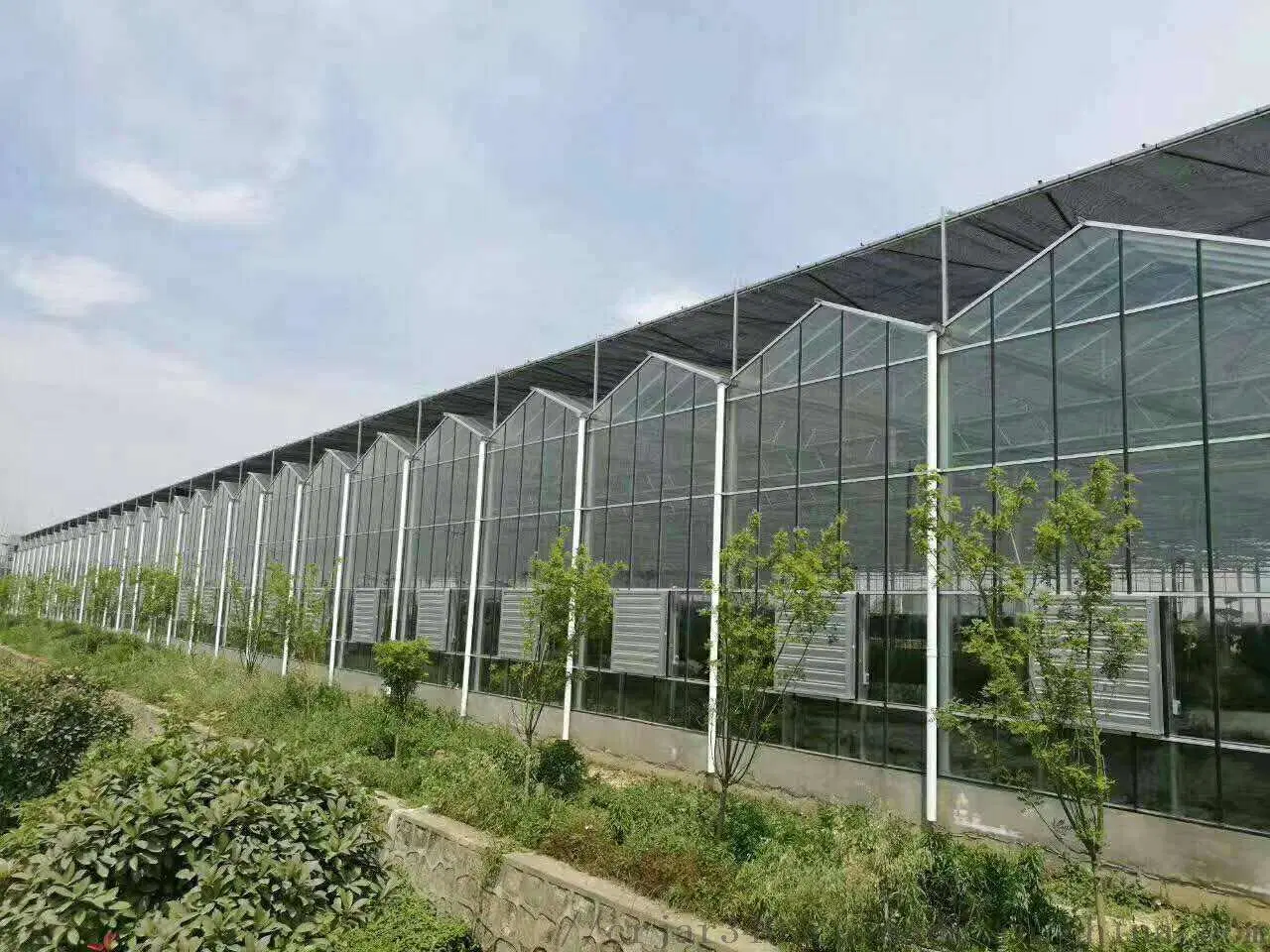 Invernadero solar Policarbnate comercial con sistema hidropónico para Verde de planta de engorde Accesorios para la casa Q195 material