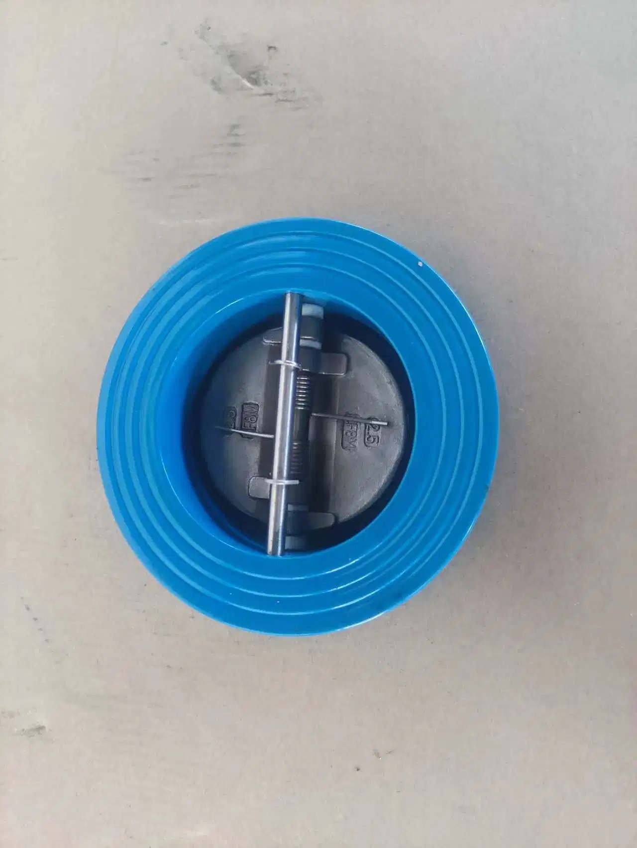 Wafer Check Valve Double Disc Iron for Water Disc SS304