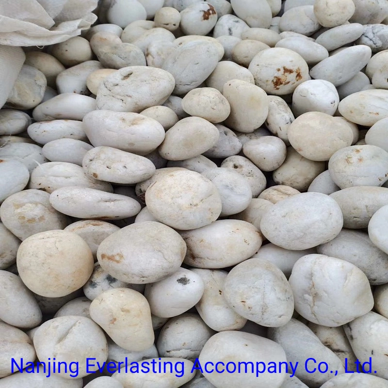 China Cheap Pure Snow White Cobbles Beach Washed Pebble Stone