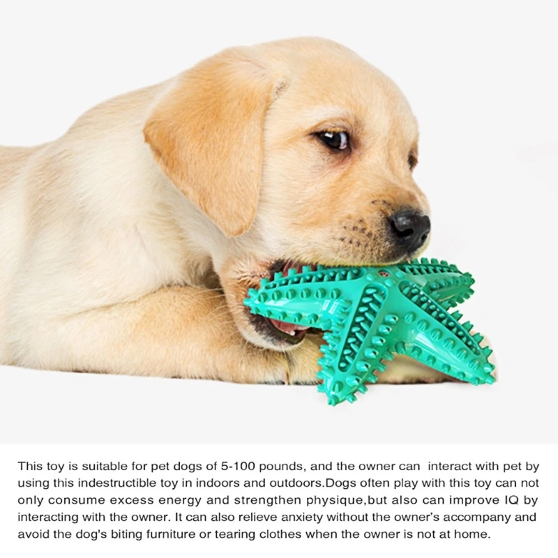 Pet Molar Toy Starfish Dog Toothbrush Outdoor Interactive Training Puzzle Dental Teeth Cleaning Puppy Theenthing Dog Toy