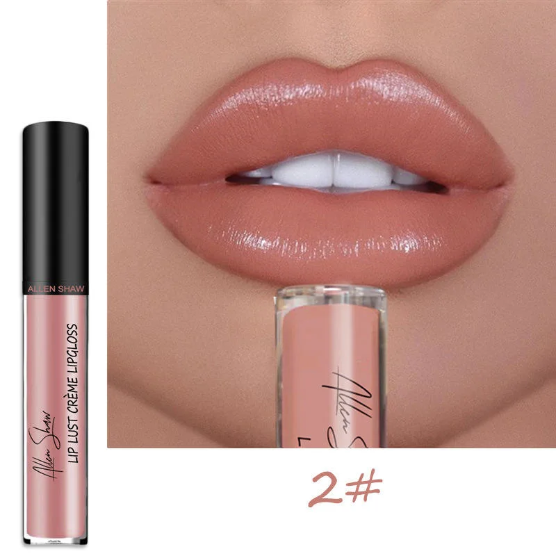 Популярный Nude Color LIP Gloss New Colors Private Label Vegan Производитель косметических средств для губ