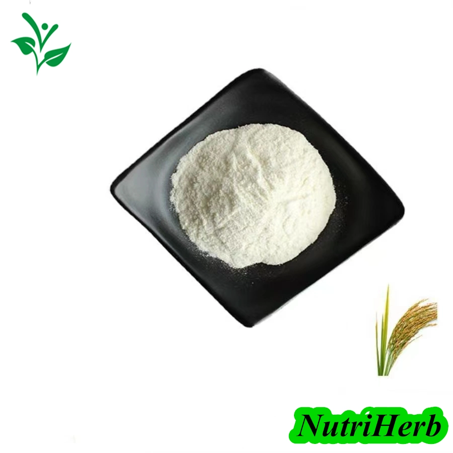 Nutriherb Supply Rice Bran Extract Natural Ferulic Acid 99% Powder