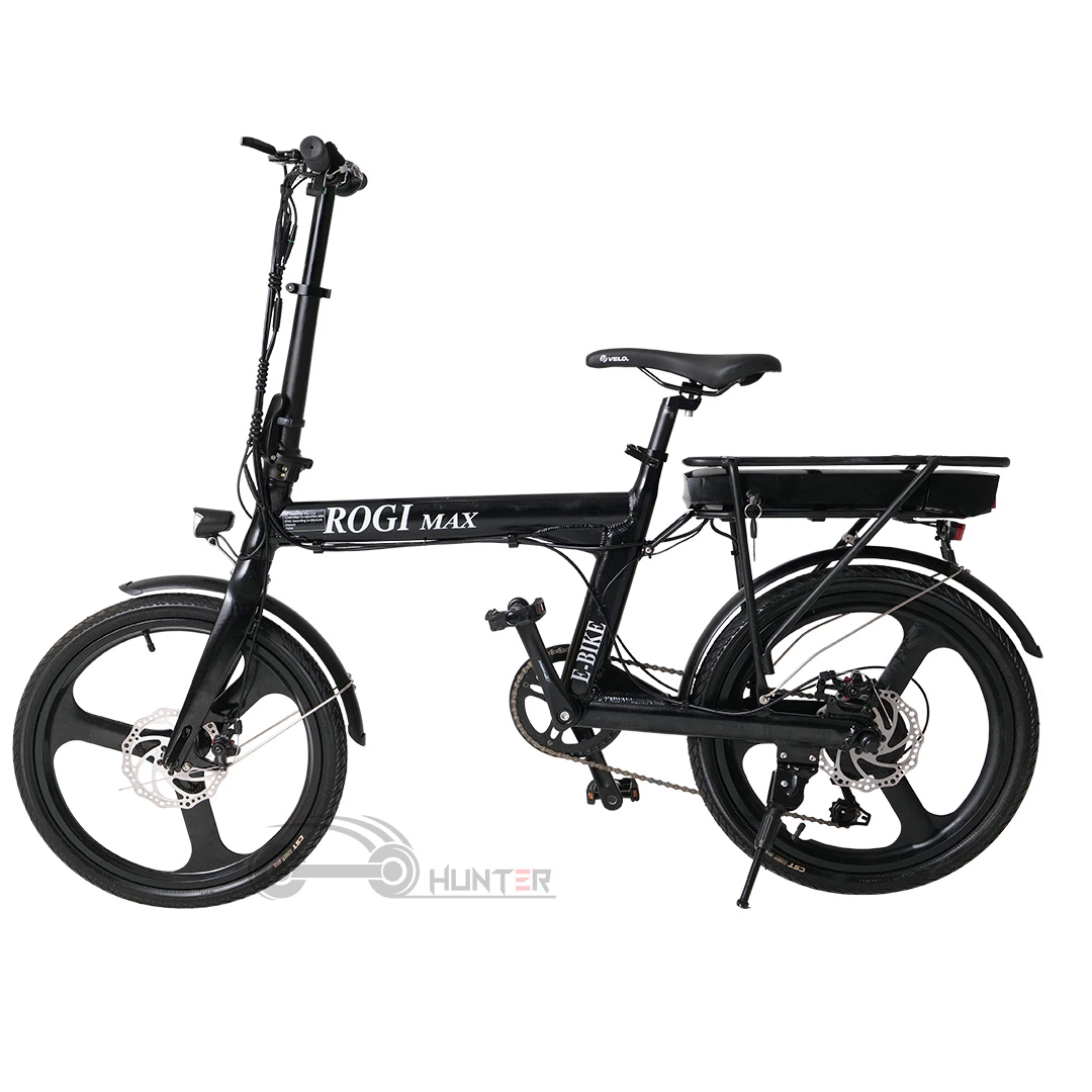 20 Inch 250W 10ah Battery Folding Small Dirt Bike with Lights