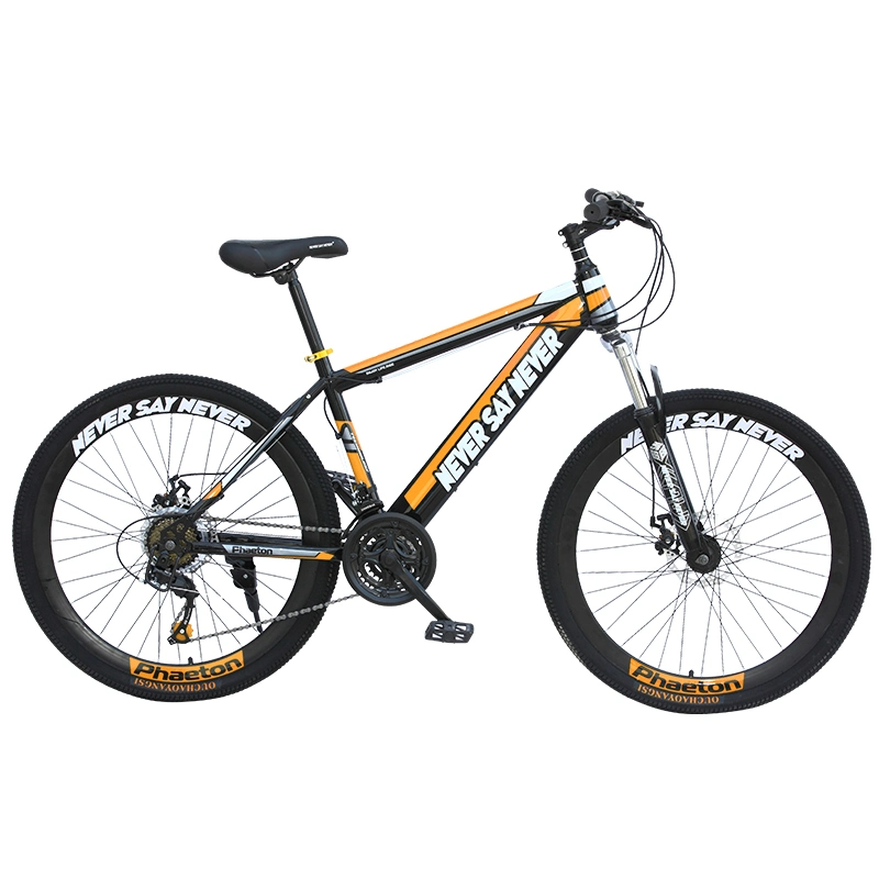 Chinese Cheap Mountain Bikes for Sale Adult Big Wheel Wide Tire