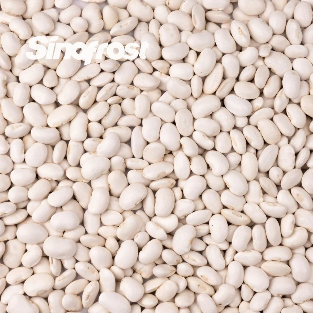 Sinofrost: Reliable IQF Frozen White Kidney Beans Bulk Supplier & Wholesale/Supplier Distributor