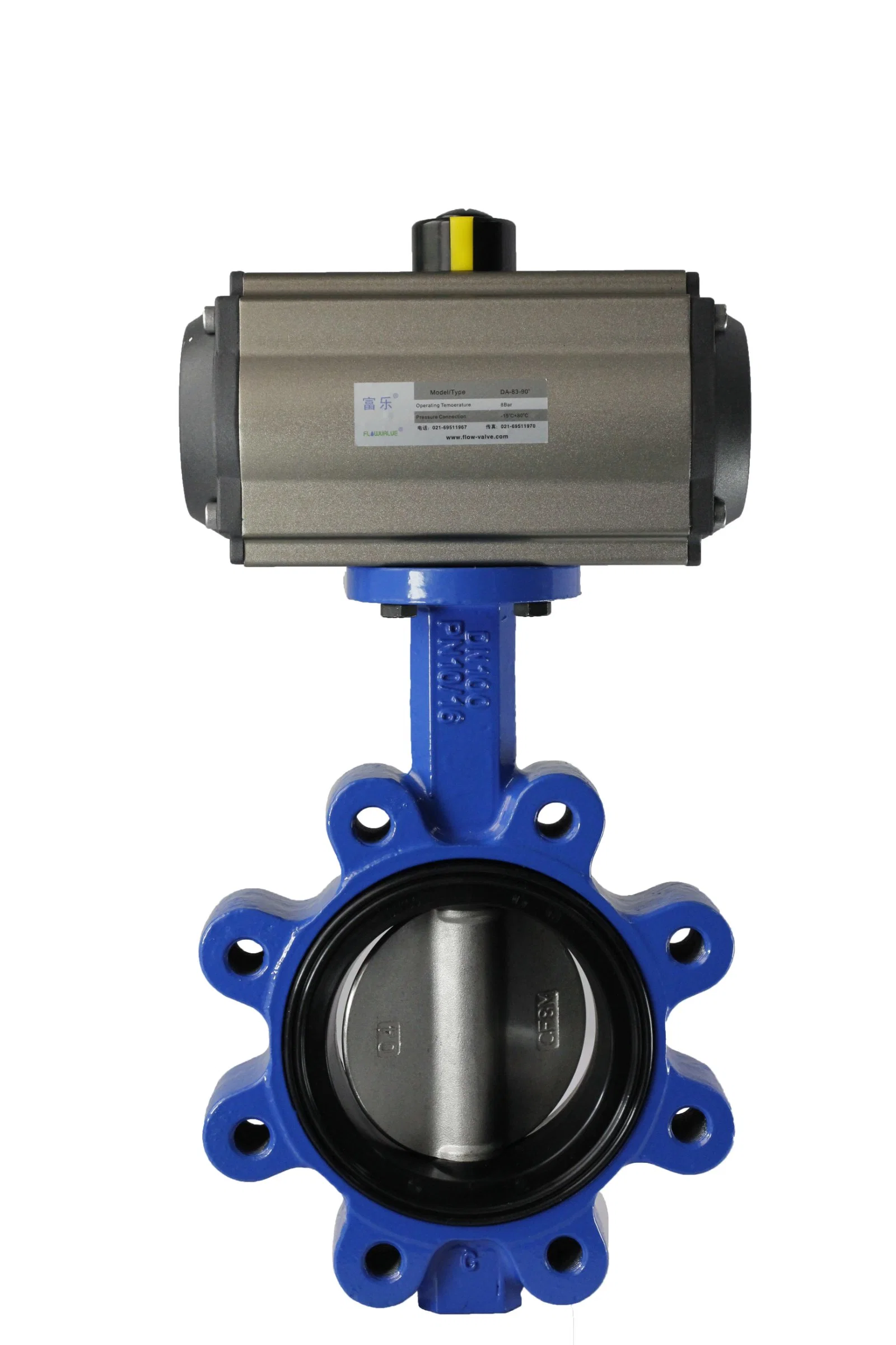 Butterfly Valve - Cast Iron, International, Aluminum Bronze Disc