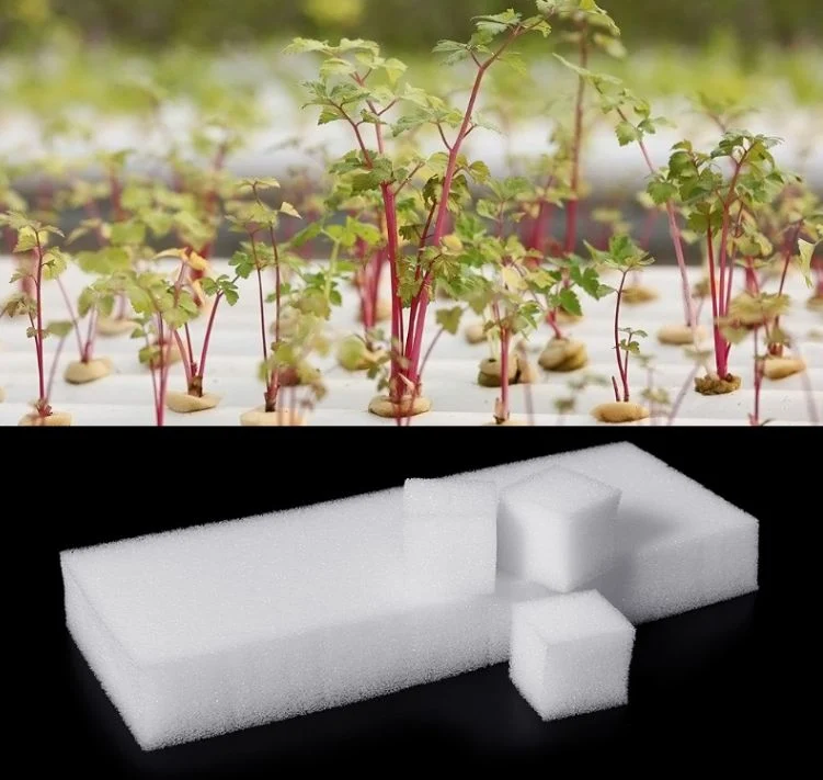 Pflanzenschwamm 300 Löcher Wachsen Hydroponics Aeroponics System Sämling Schwamm