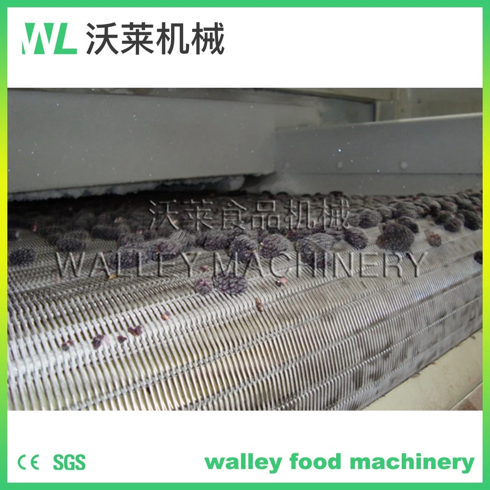 4000kg Stainless Steel Quick Freezer IQF Machine for Berries and Fruits