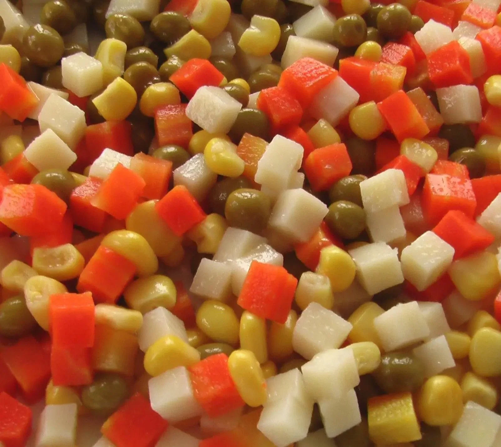 All Kinds of Canned Vegetables Onion/Carrot/Corn/Cauliflower/Broccoli/Green Beans in Water