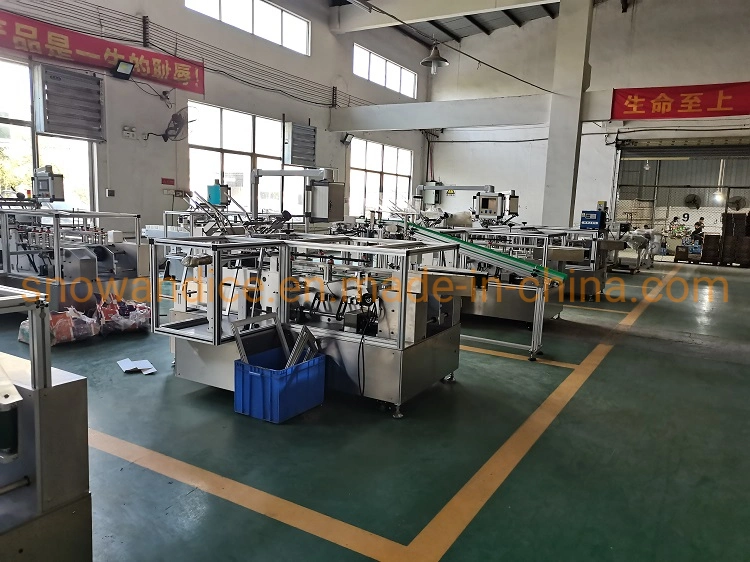 Top Loading Automatic Case Packer Less Than 80 dB