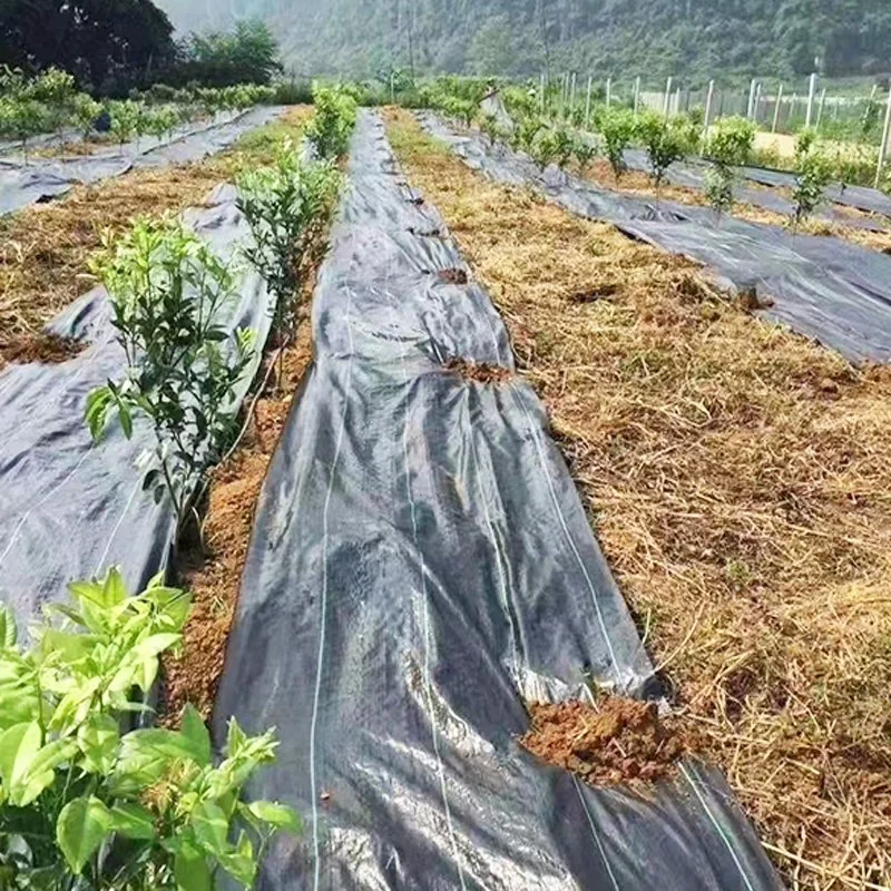 Tapete de plantas daninhas a cobertura de solo de plantas daninhas em tecidos de barreira anti Grass Strawberry Garden Agricultura