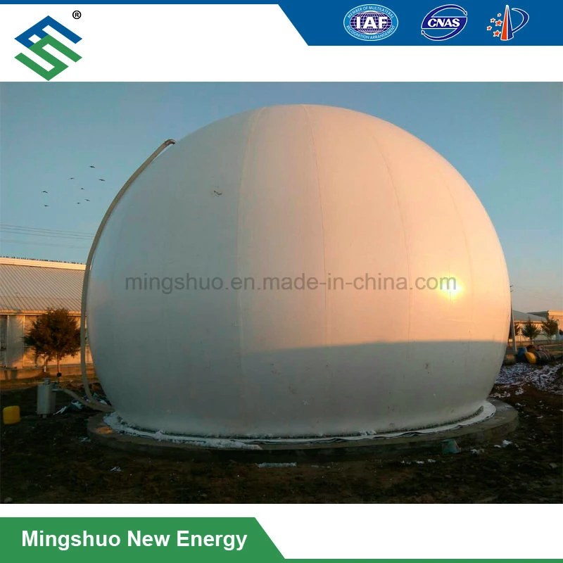 Biogas Storage Bag for Biofuels and Other Gases