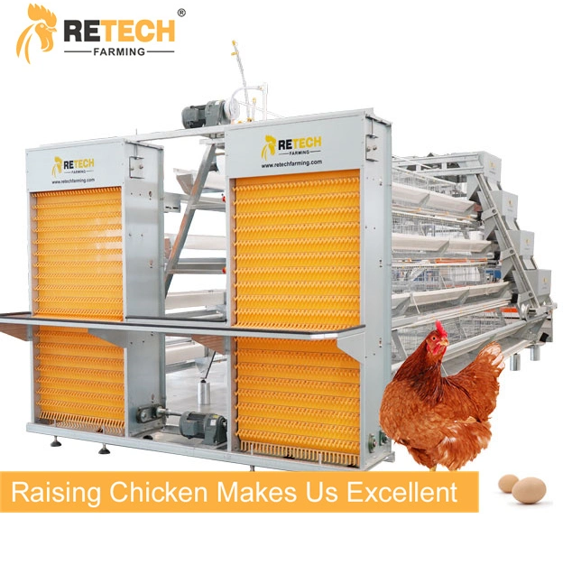 Automatic A Type Layer Chicken cages for Laying hens