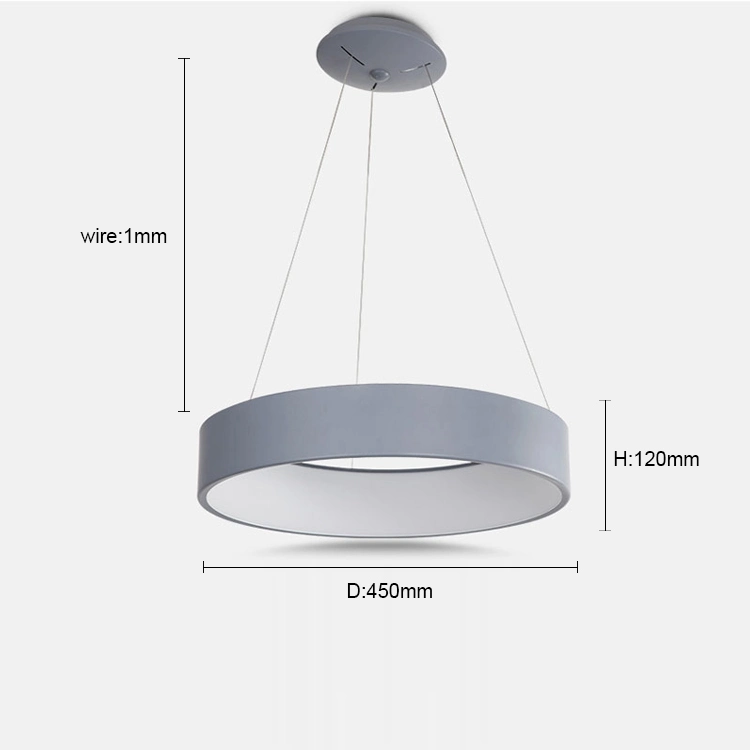 Chandelier Contemporary Ring Acrylic LED Ceiling Light Fixture in Warm Light Modern Lighting California