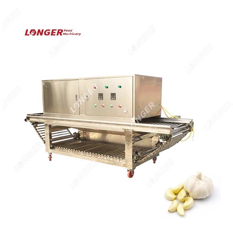 Advanced Structure Peeled Garlic Making Machine Onion Garlic Peeling Machine Electric Garlic Peeler