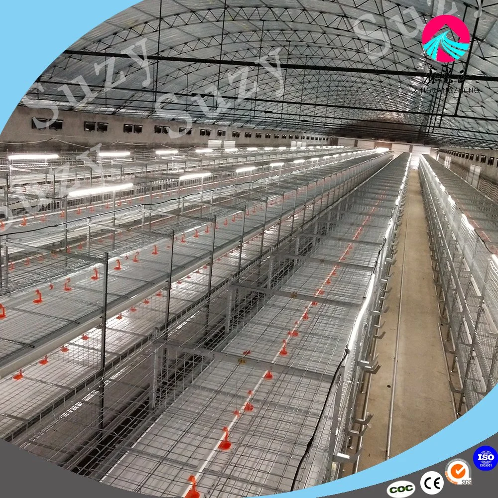 Good Price Automatic Poultry Farm Equipment Layer Chicken Battery Cage for Sale