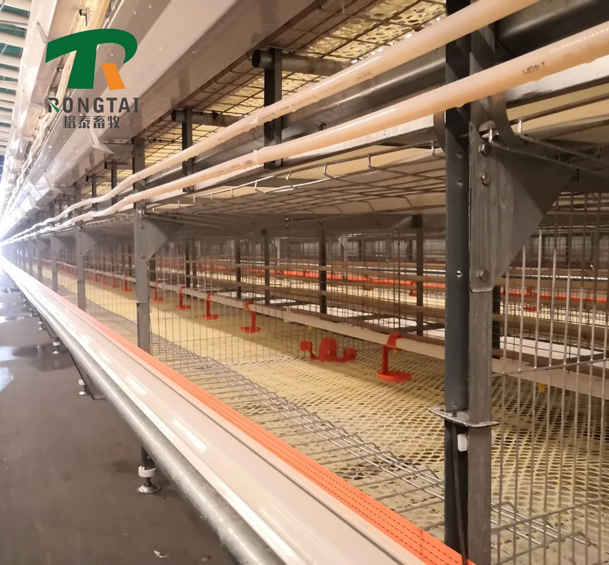 High Top Design Modern Poultry Farm H Type Manual Poultry Metal Broiler Raising Chicken Cage with Manure Belt for 1000 Birds