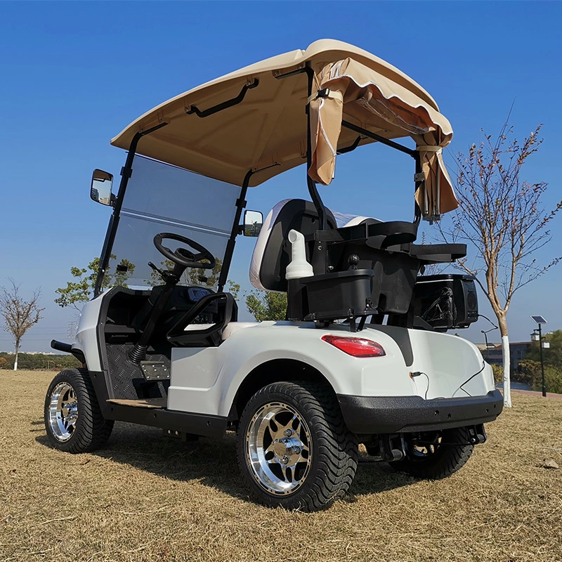 2 Seats Small 4 Wheel Electric Vehicles Cart Prices Electric Golf Car