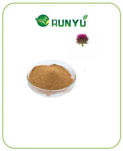 Fast Shipped Milk Thistle Seed Extract Silymarin 80% Milk Thistle Extract