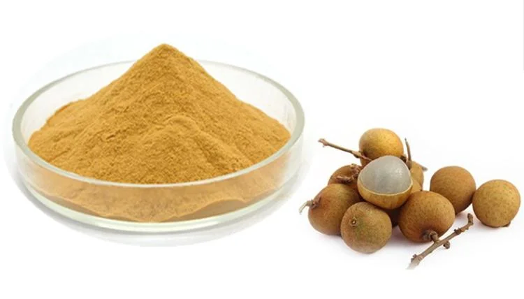 Longan Powder, Longan Juice Powder, Longan Extract, Beverage, Juice Powder