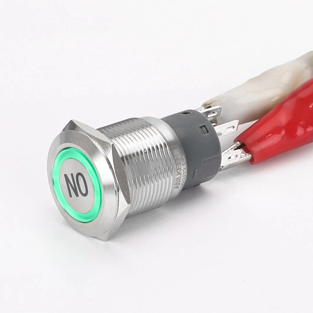 China Manufacturer 19mm RGB LED Illuminated 1no1nc Push Button Reset Type Stainless Button Switch