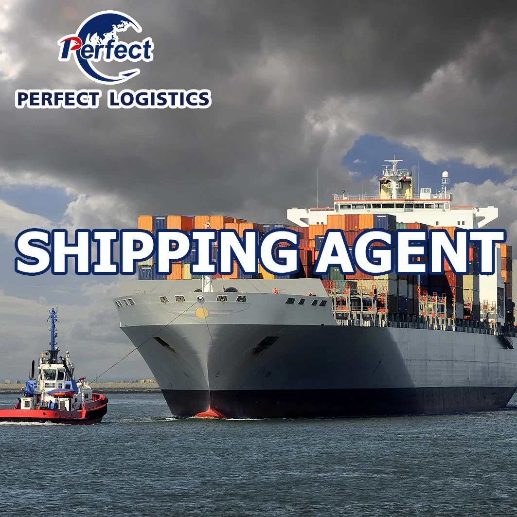 Ocean Shipping Fowarding Agent From China to Estonia/UK