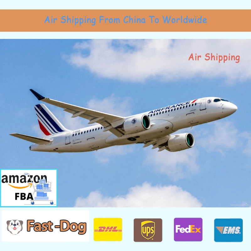 Air DDP Plane Logistics Freight Forwender de Shanghai China a. SUECIA Suiza Ucrania Italia Puerta a Puerta