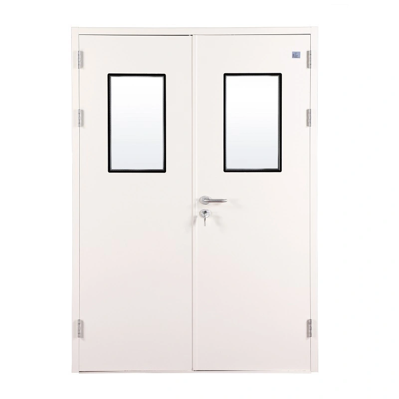 Fireproof Large Glass Panel Metal Doors Tempered Glass Steel Doors for Hospital, School, Lab