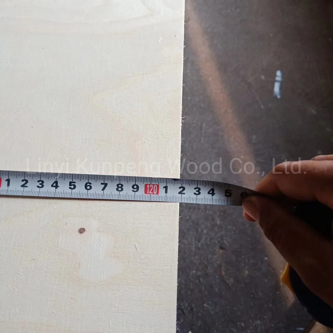 Competitive White Bleached Poplar Commercial Plywood with Poplar Core and E1 Glue