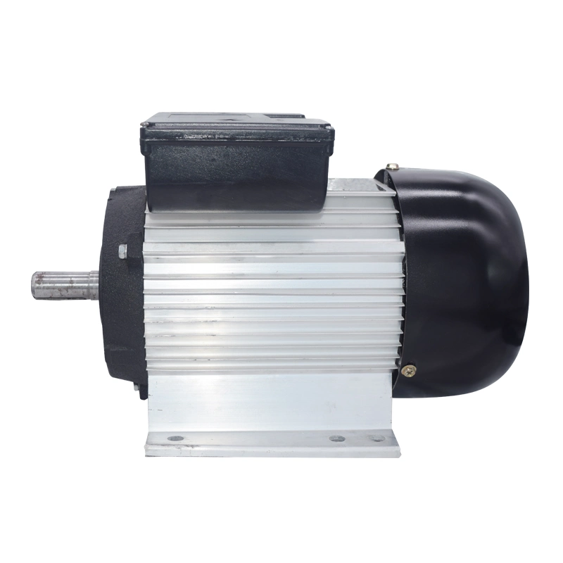 Single-Phase Asynchronous Electric Motor Yc/Yl Series Motor