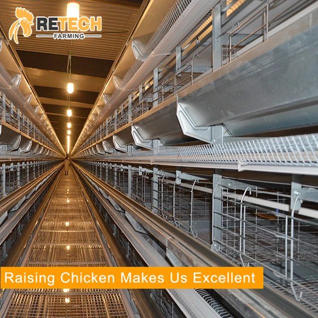 Hot Galvanized Poultry Farm Layer Chicken Cages