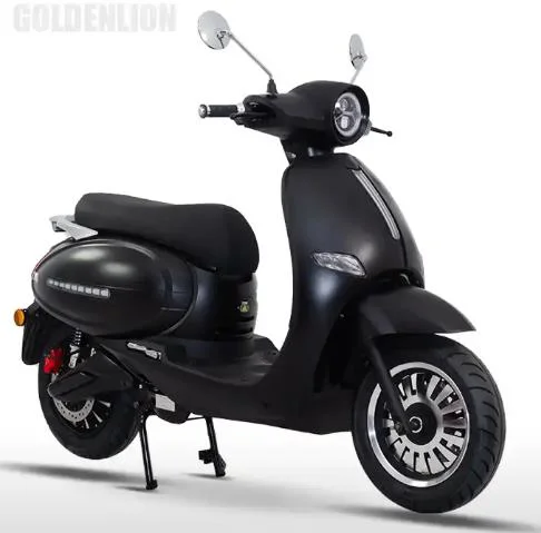 Hot Selling Fashionable Adult Electric Scooter with 2-Wheels