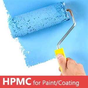 HPMC Paints Grade Is The First Choice of Construction Chemical Manufacturers.