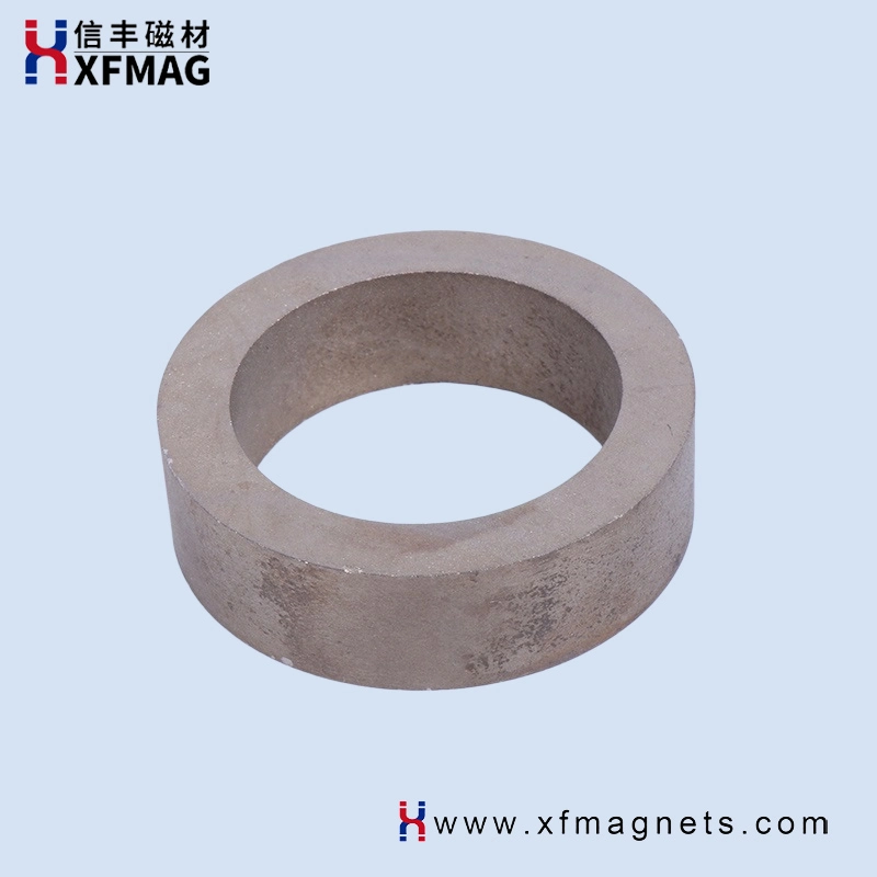 Customized Size Rare Earth Permanent Strong Magnetic Material SmCo Magnet Ring