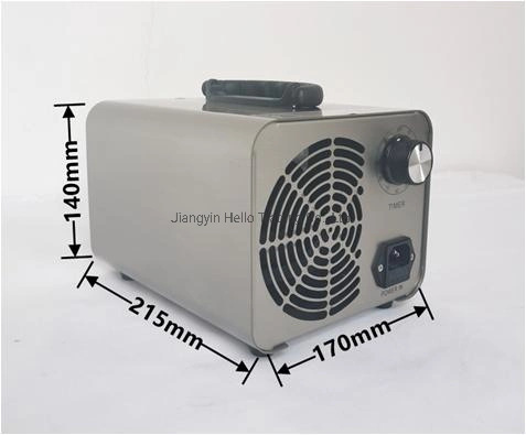 Spray Plastic Hand Held Ozone Air Purifier Portable Type