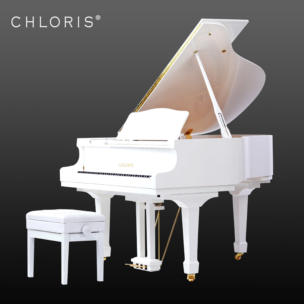 Chloris Alemania Ffw Felt White Grand Piano Hg152W, Precios de Pianos de Cola