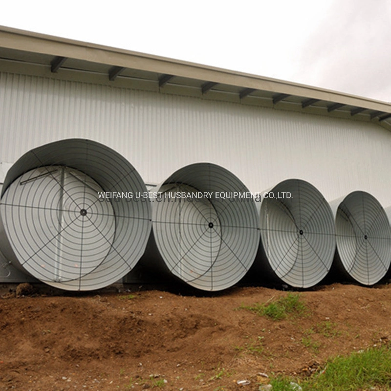 Easy Installation Steel Structure Building Prefab Chicken Poultry Farm House