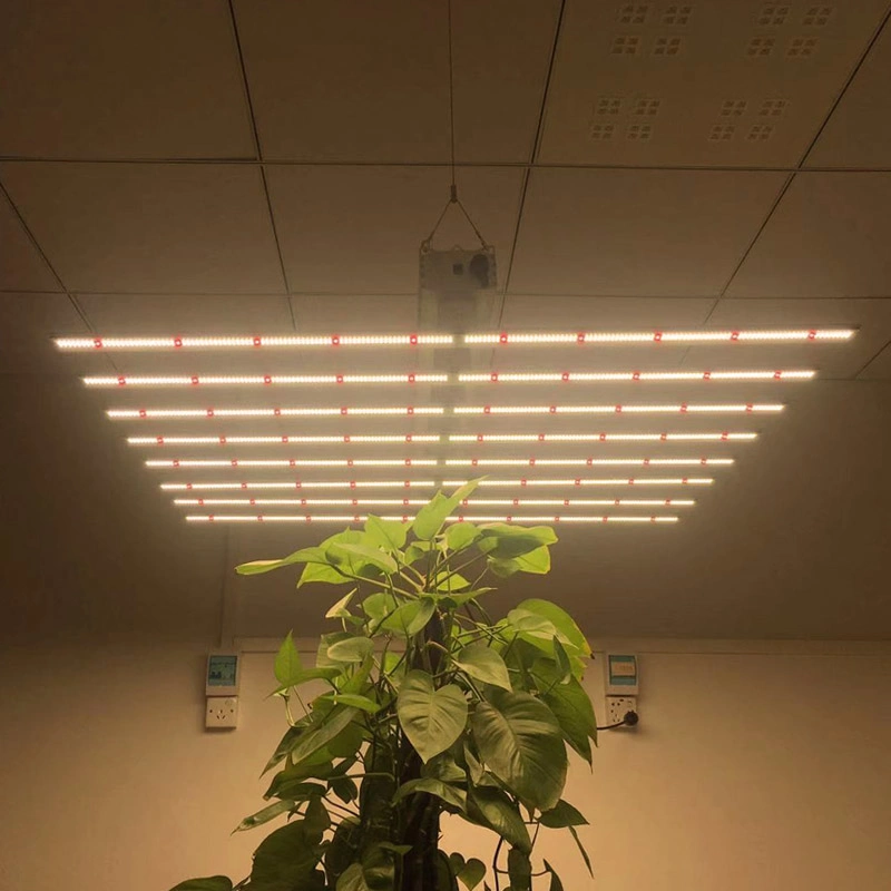 480 Watt Full Spectrum Best Lights Fixture LED Grow Light