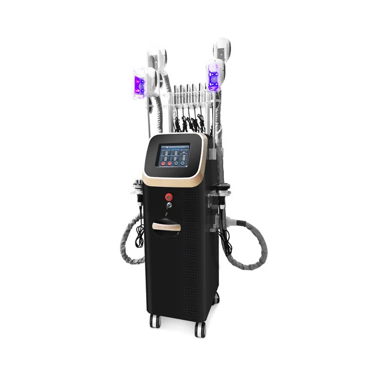 Professional Vertical 360 Angle Frozen Fat Dissolving Cavitation Slimming Machine