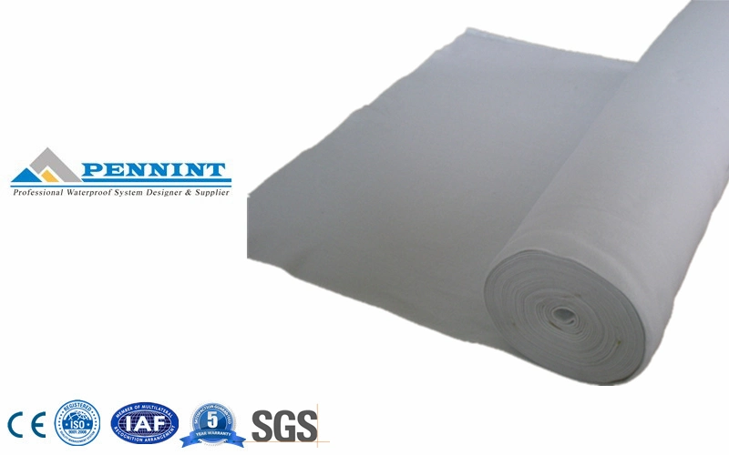 Polypropylene Fiber Long Fiber Non-Woven Geo-Textile with ISO/ Ce Certification